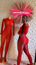 Bare It All Sheer Mesh Bodysuit